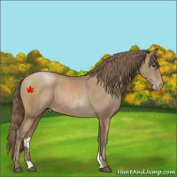 Horse Color:Black Pearl 