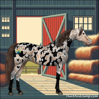 Horse Color:Bay Ice Dun Tobiano Frame Appaloosa 
