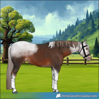 Horse Color:Liver Chestnut Tobiano 