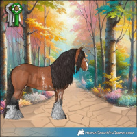 Horse Color:Bay Sabino Tobiano Rabicano  and Bay Sabino Rabicano 