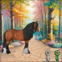 Horse Color:Bay Sabino Tobiano Rabicano  and Bay Sabino Rabicano 