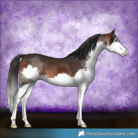 Horse Color:Brown Splash 