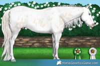 Horse Color:Smoky Creme Dun Splash Tobiano Near Leopard Rabicano 