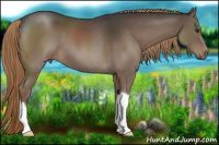 Horse Color:Liver Red Roan 