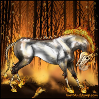 Horse Color:Smoky Grullo Frame Appaloosa Rabicano 