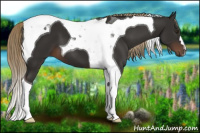 Horse Color:Liver Chestnut Tobiano 