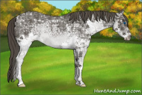 Horse Color:Smoky Black Ice Splash