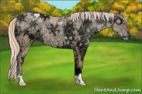 Horse Color:Palomino Ice Pearl 