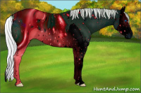 Horse Color:ERROR: UNKNOWN ANOMALY