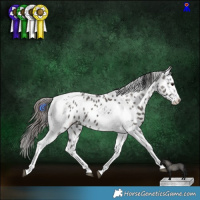 Horse Color:Grullo Splash Tobiano Appaloosa 