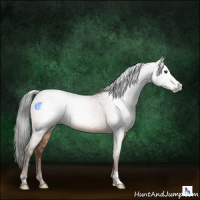 Horse Color:Gray Classic Champagne 