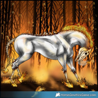 Horse Color:Gray Chestnut Chinchilla Tobiano 