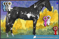 Horse Color:Gray White Spotted Liver Chestnut