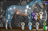 Horse Color:Watercolor White Spotted Liver Chestnut 