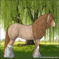 Horse Color:Red Roan 