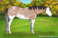 Horse Color:Bay Ice Roan Splash Rabicano 