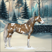Horse Color:White Spotted Chocolate Palomino Splash 