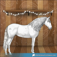 Horse Color:Gray Chocolate Palomino Splash Tobiano 