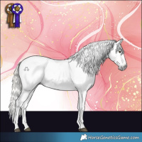 Horse Color:Gray Palomino Tobiano Appaloosa  and Palomino Splash Tobiano Appaloosa 