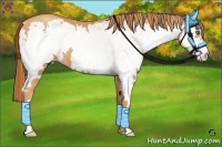 Horse Color:White Spotted Gold Champagne Frame 