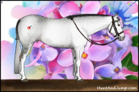 Horse Color:Gray White Spotted Liver Chestnut 