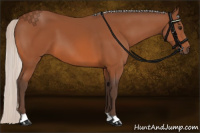 Horse Color:Silver Bay