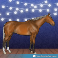 Horse Color:Gray Silver Buckskin