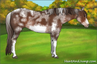 Horse Color:White Spotted Liver Chestnut Tobiano Frame 