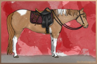 Horse Color:Chestnut Tobiano