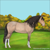 Horse Color:Sable Champagne Roan 