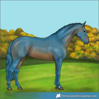 Horse Color:Watercolor Brown 