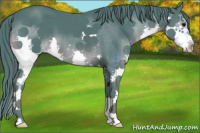 Horse Color:Watercolor Smoky Black Splash 
