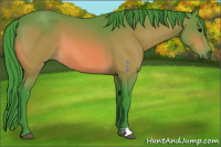 Horse Color:Watercolor Brown 