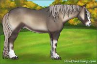 Horse Color:Silver Blue Onyx Sabino 