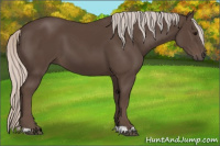 Horse Color:Silver Black 