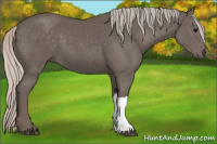 Horse Color:Silver Black 