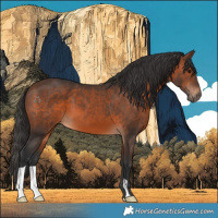 Horse Color:Brown 
