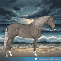 Horse Color:Silver Black 