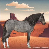 Horse Color:Smoky Blue Roan 