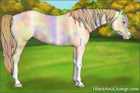 Horse Color:Nacre Smoky Grullo Pearl 
