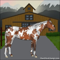 Horse Color:White Spotted Silver Brown