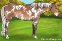 Horse Color:White Spotted Silver Bay Mushroom 