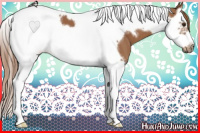 Horse Color:Chestnut Splash Tobiano Frame