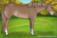 Horse Color:Chestnut Tobiano