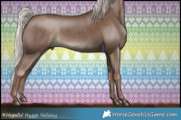 Horse Color:Silver Black 