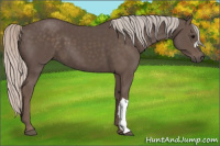 Horse Color:Silver Black 