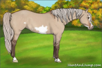 Horse Color:Silver Brown Dun Frame