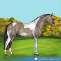Horse Color:Brown Dun Tobiano Frame 