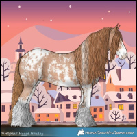 Horse Color:Chestnut Sabino Appaloosa 