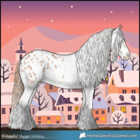 Horse Color:Chestnut Sabino Appaloosa